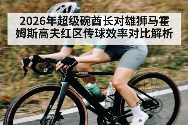 2026年超级碗酋长对雄狮马霍姆斯高夫红区传球效率对比解析